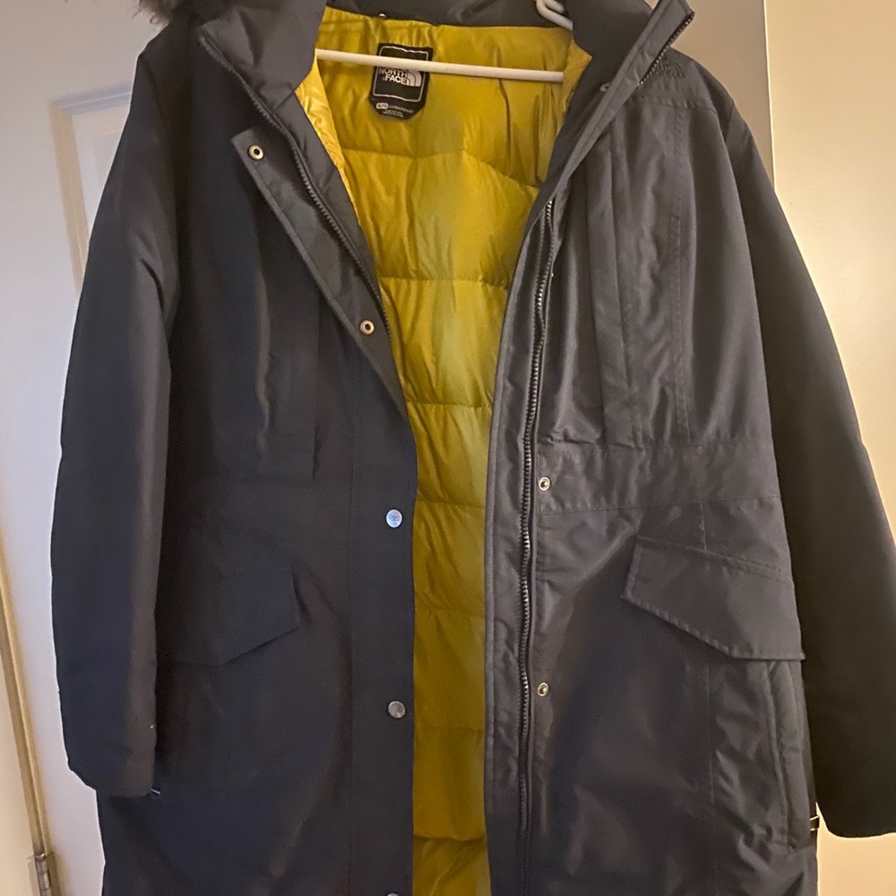 The north face coat